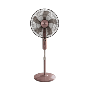 fan1
